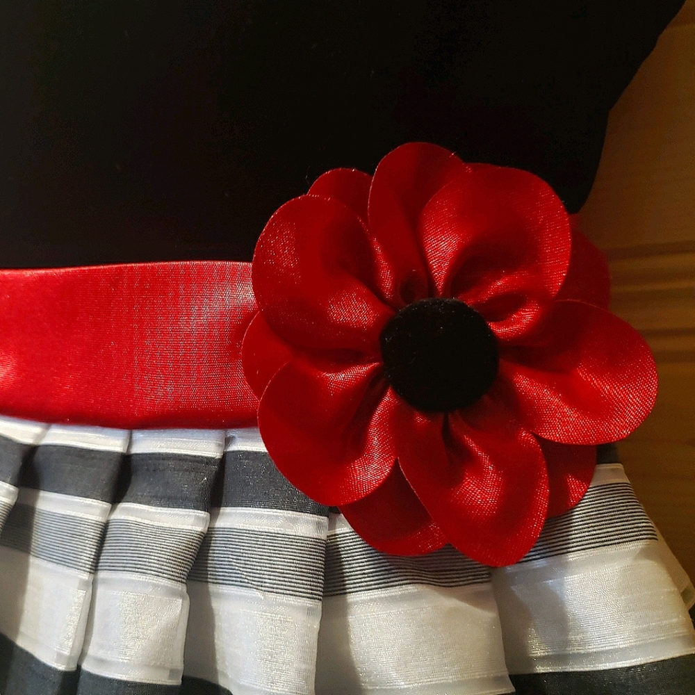 Little Girls Dresses